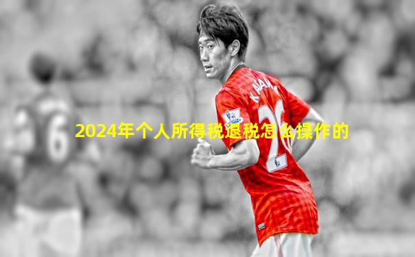 2024年个人所得税退税怎么操作的