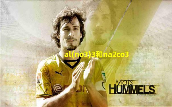 al(no3)3和na2co3