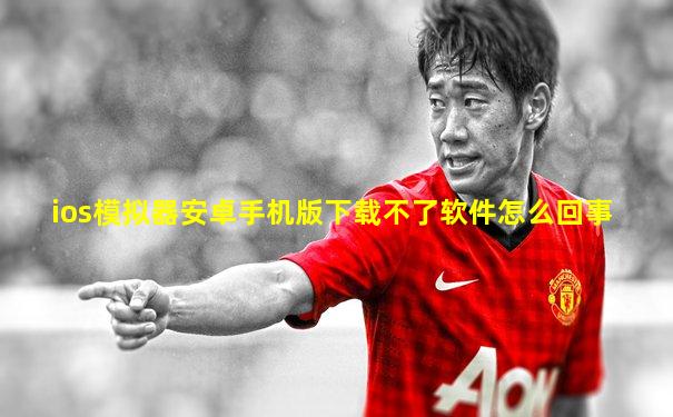 ios模拟器安卓手机版下载不了软件怎么回事