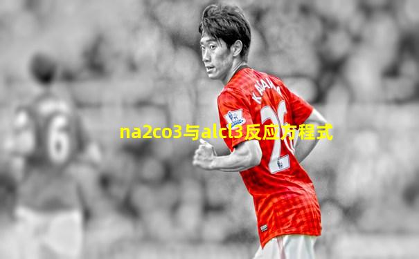 na2co3与alcl3反应方程式