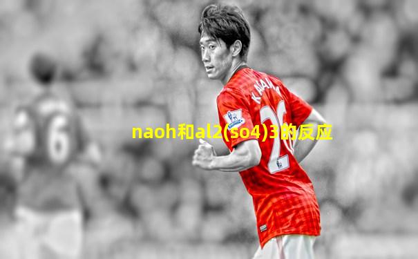 naoh和al2(so4)3的反应