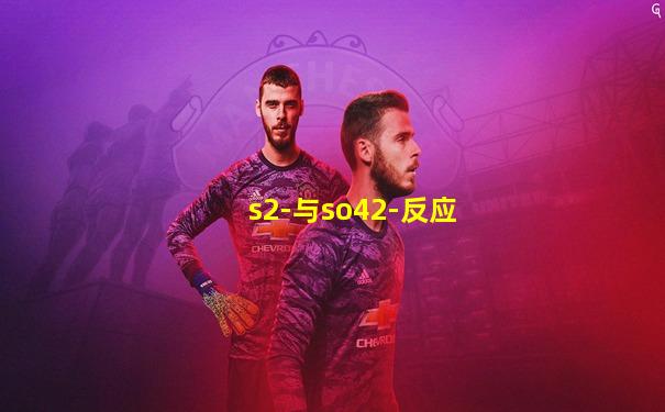 s2-与so42-反应
