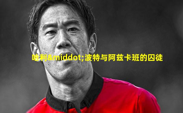 哈利·波特与阿兹卡班的囚徒