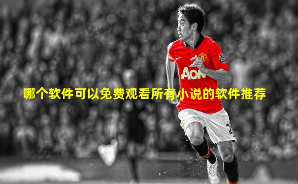 哪个软件可以免费观看所有小说的软件推荐