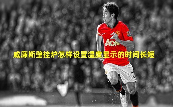 威廉斯壁挂炉怎样设置温度显示的时间长短