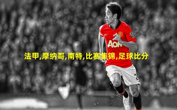 法甲,摩纳哥,南特,比赛集锦,足球比分