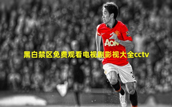 黑白禁区免费观看电视剧影视大全cctv
