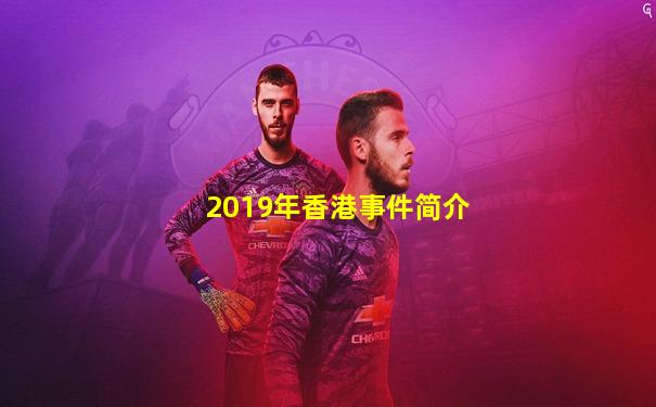 2019年香港事件简介