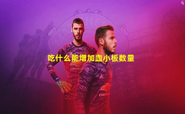 吃什么能增加血小板数量