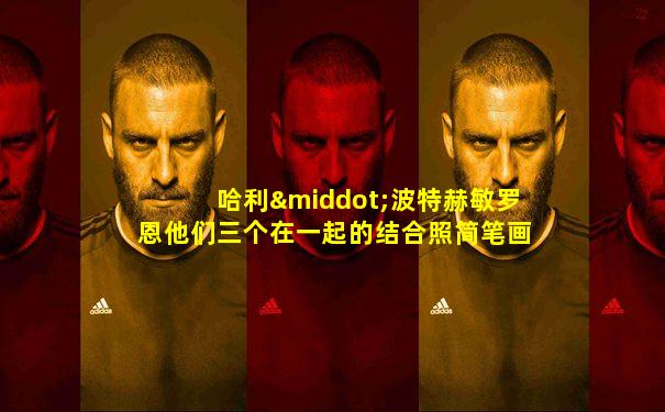 哈利·波特赫敏罗恩他们三个在一起的结合照简笔画