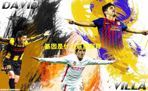 基因是什么意思解释