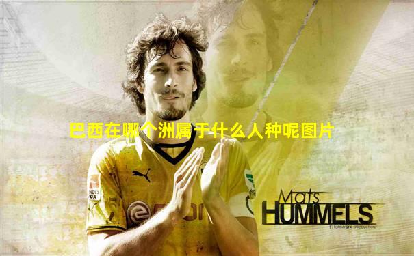 巴西在哪个洲属于什么人种呢图片
