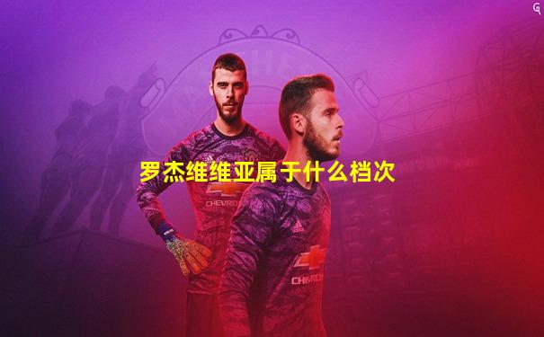 罗杰维维亚属于什么档次