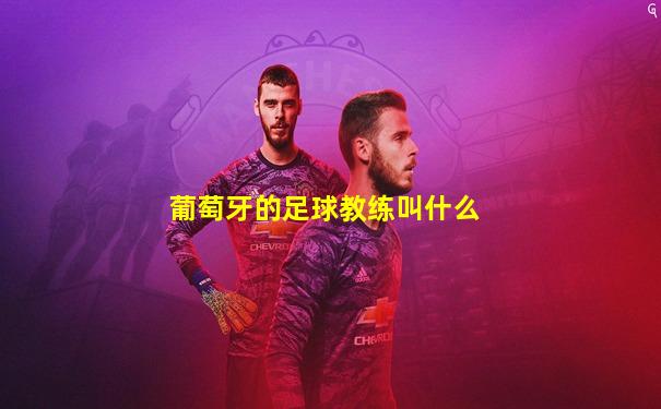 葡萄牙的足球教练叫什么
