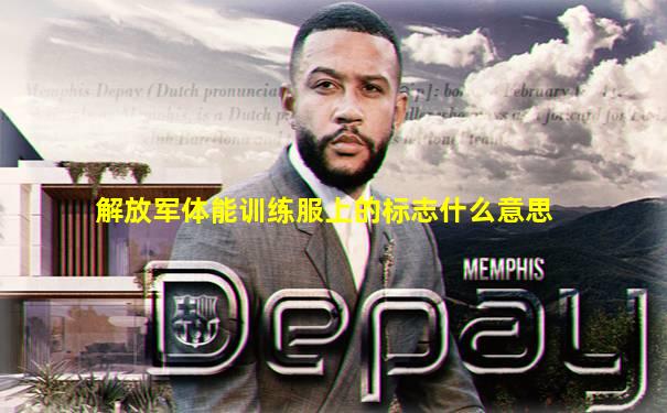 解放军体能训练服上的标志什么意思