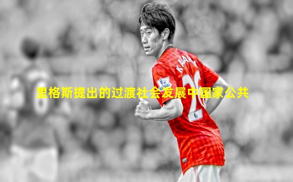 里格斯提出的过渡社会发展中国家公共