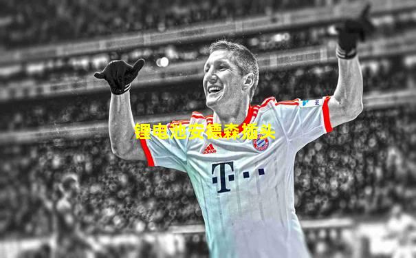 锂电池安德森插头